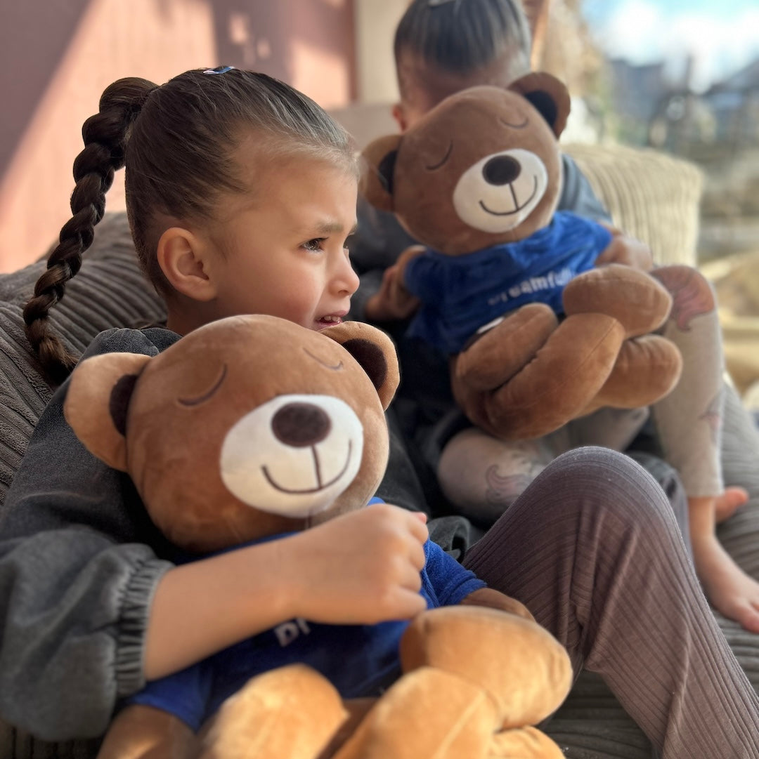 Meddy Bear - The Sleeping Aid Toy for Children