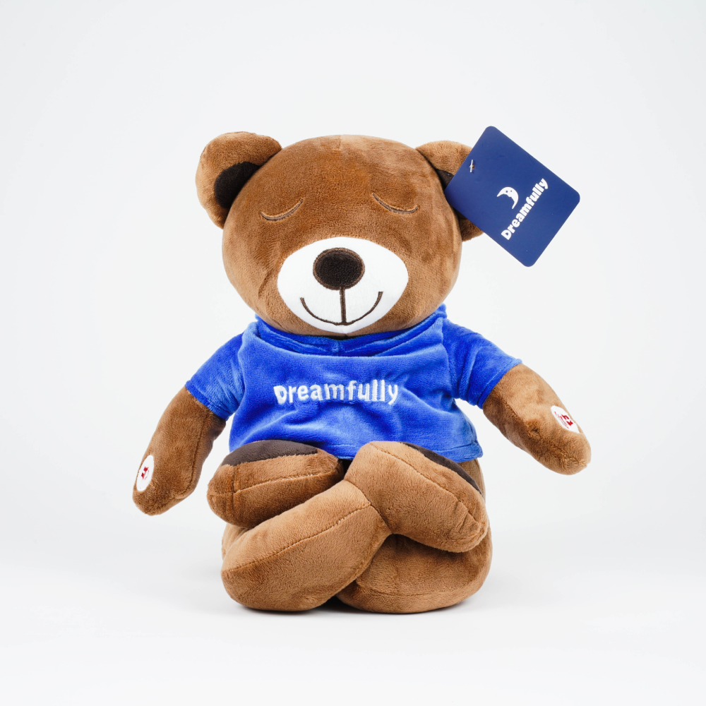 Meddy Bear - The Sleeping Aid Toy for Children